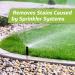 Velocity Exterior Rust Stain Remover - Effective Rust Removal for Concrete Vinyl Siding & Decks - 1 Gallon - Buy Online on SooperMarket.com