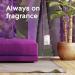 Glade PlugIns Air Freshener Kit Scented and Essential Oils for Bathroom and Home Fragrance Tranquil Lavender and Aloe 2 Warmers and 6 Fragrance Oil Refills Lavender & Aloe 118.89 ml (Pack of 1) - Buy Online on SooperMarket.com