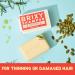 BRIXY Strengthening Shampoo Bar for Thinning Hair | Pumpkin Seed Oil & Rosemary | Vegan pH Balanced Plastic Free - Buy Online on SooperMarket.com