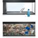 Juwel Poster 2 Blue Extra Large XL - 120 x 60 cm bis 150 x 60 cm - Buy Online on SooperMarket.com