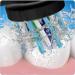 Oral-B Cross Action Black Electric Brush Heads - Pack of 2 - Buy Online on SooperMarket.com