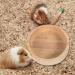 POPETPOP Hamster Food Bowl Bunny Food Bowls Pet Accessories Pet Feeder Hamster Supply Chinchilla Accessory Hamster Bowl Multifunction Gerbil Food Rack Guinea Pig Oak Rat Food Dish - Buy Online on SooperMarket.com