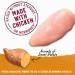 Purina Beyond Grain Free Wet Dog Food in Gravy - Chicken & Sweet Potato, 12.5 oz Cans (12-Pack) - Buy Online on SooperMarket.com