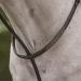 Fancy Stitched Brown Pony Standing Martingale II - Collegiate Quality - Buy Online on SooperMarket.com