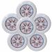 Discraft Ultra-Star 175g Ultimate Frisbee Sport Disc (6 Pack) Choose Color White