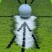 Premium Birdie Mat: Swing Training Mat for Precise Swing Path Analysis and Ball Impact Assessment - Buy Online on SooperMarket.com