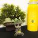 AnxunJim Aquarium Groot Air Bubbler Set - Fish Tank Air Stone Decorations - Buy Online on SooperMarket.com