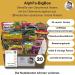 Alphfa Bigbox: 20 Asian Instant Pasta & Ramen Soups - Perfect Gift Box with Chicken Beef & Shrimp Varieties - Buy Online on SooperMarket.com