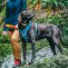 Kurgo Journey Air Dog Harness - Padded Chest & Back Handle for Dogs 2-5 kg XS Size - Blue/Gray - Buy Online on SooperMarket.com