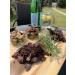The Biltong Man Nice n Spicy Fatty (500 Grams) 500 Grams - Buy Online on SooperMarket.com