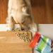 K9 Natural Grain-Free Freeze Dried Dog Food Supplement - Lamb Green Tripe 7oz - Buy Online on SooperMarket.com