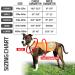 SafetyPUP XD - Reflective Dog Vest | Hi-Visibility Blaze Orange Vest for Medium Dogs | Protect Your Pup from Accidents - Buy Online on SooperMarket.com