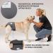 Buy High-Quality Financial Trousers for Dogs 2.0 - Premium Neoprene Diapers for Males - Optimal Airflow No Rod Threading - Large Blue - Buy Online on SooperMarket.com