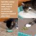 Kitty City Premium Natural Catnip - Catnip Bag for Cats | 100% Organic Catnip - Buy Online on SooperMarket.com