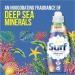 Surf Deep Sea Minerals & Essential Oils Concentrated Liquid Laundry Detergent - 24 Washes - 24 Count (Pack of 1) - Buy Online on SooperMarket.com