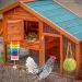Woiworco Chicken Coop Accessories: 7 Pack Chicken Toys - Xylophone, Swing, Mirror, Pecking, Vegetable Feeder & More - Buy Online on SooperMarket.com