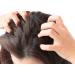Ethereal Nature 99% Natural Hair Oil Blend with Tea Tree - 7.1 oz | Nourish & Protect Your Hair - Buy Online on SooperMarket.com