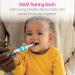 MAM Baby's Brush Set (2 Training Toothbrushes 1 Safety Shield) Baby Toothbrushes with Brushy the Bear Interactive App For Boy 5+ Months Blue - Buy Online on SooperMarket.com