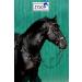 Jose Breastplate Show - Premium Portuguese & Spanish Black Brown for WB VB XF XXF Calfblood - International Shipping Available - Buy Online on SooperMarket.com