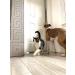 FlexLatch Cat Door Holder Latch - Bright White Alternative for Cats. Easy Install, Keeps Dogs Out. Baby Proof Design for Safety - Buy Online on SooperMarket.com