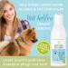 Itching Shampoo for Dogs - 100% Natural Cedar Oil & Lavender - Soothes Itching & Mites - 200ml Anti-Itch Formula - Buy Online on SooperMarket.com