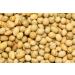 Yupik Unsalted Roasted Soya Beans 2.2 lb - High-Quality Snack Option - Buy Online on SooperMarket.com
