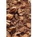 Cacao Ceremonial Grade 100% Organic Criollo Peru coffee alternative (1000g) 1 g (Pack of 1) - Buy Online on SooperMarket.com