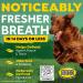 TropiClean Fresh Breath Oral Care Water Additive for Dogs - 33.8 fl oz - Dog Breath Freshener - Plaque & Tartar Defense - No Toothbrush Needed - Buy Online on SooperMarket.com