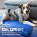 Chillz Dog Cooling Mat - Pressure Activated Gel Pad for Dogs & Cats - Non-Toxic, No Water Needed - Ideal for Home, Travel, Crates - Large Blue - Buy Online on SooperMarket.com