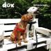 Ddoxx Adjustable Nylon Dog Harness - Step-In Outbreak-Proof for Small Medium & Large Dogs | Perfect Breast Harness for Puppies & Cats | Yellow XS (1.0 x 32-44 cm) - International Shipping Available - Buy Online on SooperMarket.com
