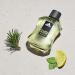 adidas Pure Game Eau de Toilette 1.7 fl oz (Pack of 1) Notes of Grapefruit Lavender and Sandalwood Men's Fragrance Long Lasting Sporty Fragrance Travel Size 1.7 Fl Oz (Pack of 1) Eau De Toilette - Buy Online on SooperMarket.com