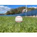 Blank Leather Baseball for Autographs, Crafts & Souvenirs | Regulation Size & Weight, Quality Stitching - Perfect for Custom Gifts & Youth Play - Buy Online on SooperMarket.com
