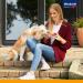 Vita Power Beef Stick School - Healthy Dog Snack Thin Meat Sticks for Training & Rewards Sugar-Free (10 Pieces) - Buy Online on SooperMarket.com