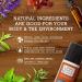 Deozein Original Roll-On Deodorant | All Natural & Paraben Free | Earthy Herbal Scent | 3 fl. Oz - Buy Online on SooperMarket.com