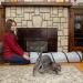 PetLike Collapsible Cat Tunnel with Peek Hole - Grey | Indoor Cat Play Toy with Ball - Buy Online on SooperMarket.com