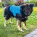 Nobby Dog Cooling Jacket - Ultralight Water-Absorbent EVA Fabric - Size-Specific - Ideal for Hot Weather - Buy Online on SooperMarket.com