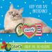 Dr. Seuss The Grinch Catnip Cat Toys 3 Pack - Small Catnip Infused Toys from The Grinch Who Stole Christmas Collection - 4 Inch Canvas Cat Toy for Cats - Buy Online on SooperMarket.com
