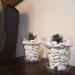 Kalapanta Kit Try-Pack: 12 Mixed Decorative Stones - White Recycled Plastic for Pots Painting Aquariums & Gardens - Buy Online on SooperMarket.com