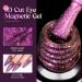 MIZHSE Glitter Nail Polish Cat Eye 9D Gel Nail with Magnetic Stick Soak-Off UV LED Gel Polish Discoloration Manicure DIY Gel Nail Polish 10ml*1 - Buy Online on SooperMarket.com