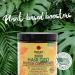 Jamaican Black Castor Oil Protein Conditioner - Strengthens & Moisturizes Hair Promotes Growth & Reduces Breakage (8oz) - Buy Internationally - Buy Online on SooperMarket.com