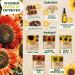 valeaf Sunflower Starter Kit (Sunflowers) - Buy Online on SooperMarket.com