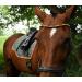 Buy Happiness Hucks Colorful Horses Forehead Straps 'Paradise' - Pink Green & Gold Curved Design Narrow Fit for Ponies - Dark Brown Leather - Buy Online on SooperMarket.com