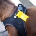 Curli D-Ring Buckle Vest Harness Mandarin XS - Premium International Shipping for Your Pet - Buy Online on SooperMarket.com
