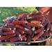 Jimmy Red Moonshine Grits Premium Heirloom Corn Seed Packet - Buy Online on SooperMarket.com