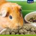 Vita Power Vita Special Junior Feed for Young Dwarf Rabbits - 600g | Herbal & Grass Blend for Optimal Digestion No Sugar or Grains - Buy Online on SooperMarket.com