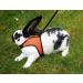 Shop Kerbl Rabbit Harness with Flexible Leash - Adjustable 22-26 cm Neck & 33-43 cm Belly | International Shipping Available - Buy Online on SooperMarket.com