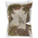 Trixie Terrarium Moss for Humid Terrariums 200 g - Buy Online on SooperMarket.com