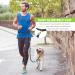 Tuff Mutt Hands Free Dog Leash A Dog Running Leash for Dogs That Makes A Great Waist Leash for Dog Walking Double Handle Bungee Dog Leash with Reflective Stitching and Adjustable Dog Walking Belt Gray - Buy Online on SooperMarket.com