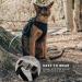 SOKANA Cat Harness and Lead Set for Walking Escape Proof - Lightweight Secure Kitten Harness and Lead Set also for Dogs Puppy Pet Small Size | Black - Buy Online on SooperMarket.com