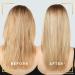 L'Oreal Paris Preference 9.13 Baikal Permanent Hair Dye - Long Lasting Luminous Colour - Buy Online on SooperMarket.com
